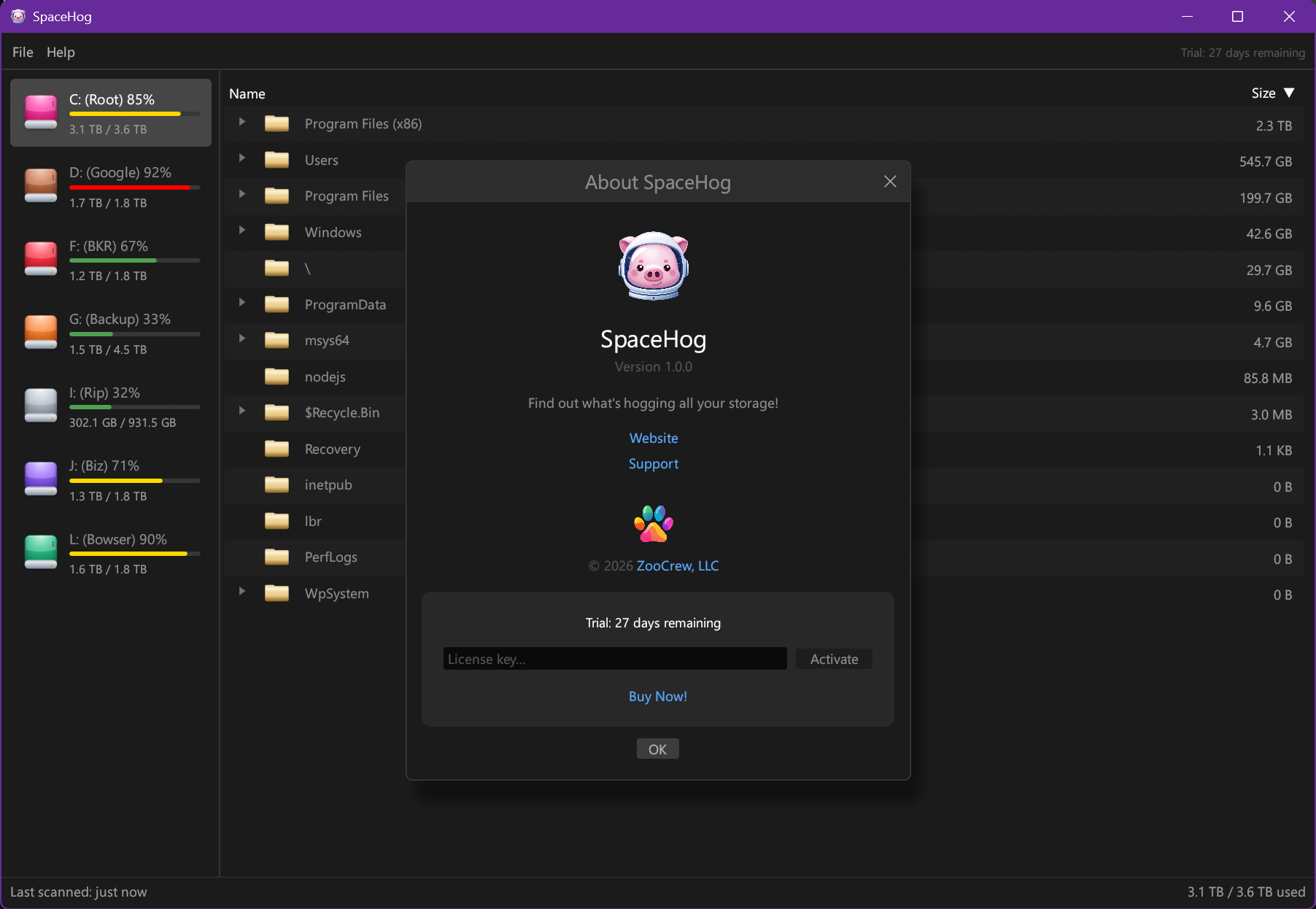 SpaceHog about dialog showing version, trial status, and license key entry.