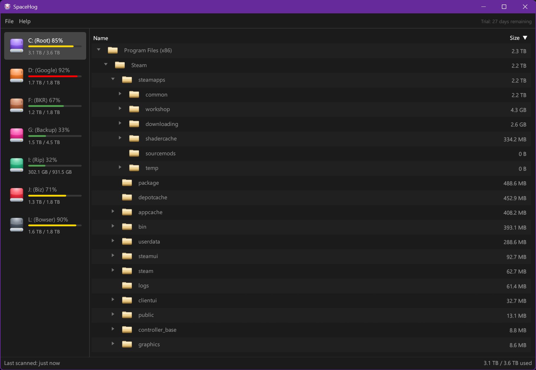 SpaceHog showing a tree view of folder sizes on the C: drive, with a sidebar listing every drive and its capacity used.